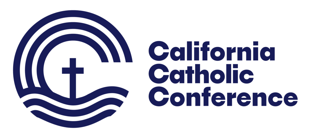 Primary Blue 1024x461