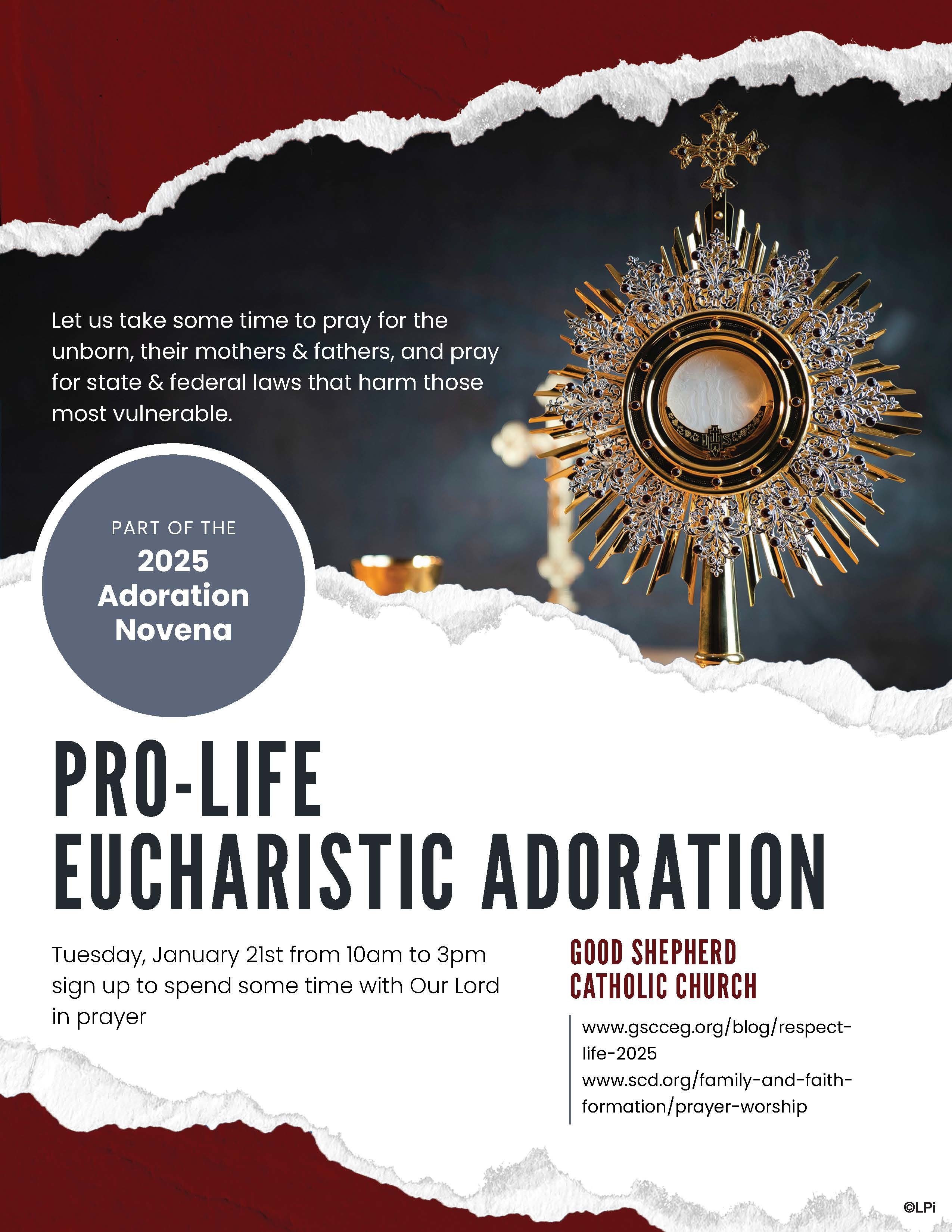 Pro Life Adoration 2025